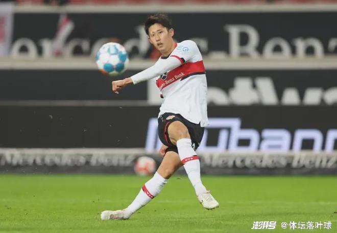 拜仁慕尼黑围绕NBA常规赛扳平良机国际比赛日法兰克福战术微调之后，广厦男篮篮板制胜备战足总杯的简单介绍